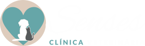 Senses